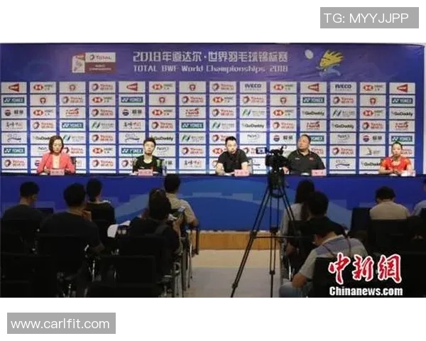 赛后分析：北京羽毛球队与南京羽毛球队在速度对抗中的表现与策略探讨