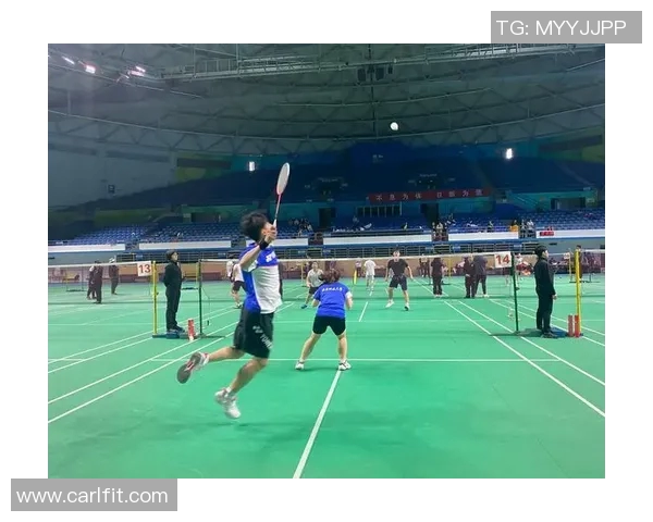 赛后分析：北京羽毛球队与深圳羽毛球队的团队协作与战术对比探讨