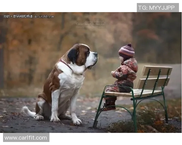 足球明星与暖心小孩的感人故事传递爱与希望的力量